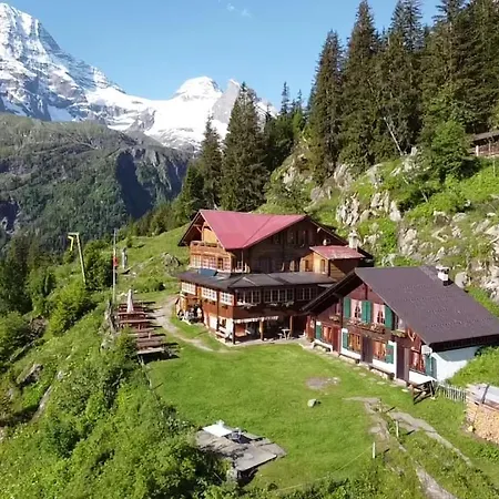Berggasthaus Tschingelhorn ستيتشيلبيرغ