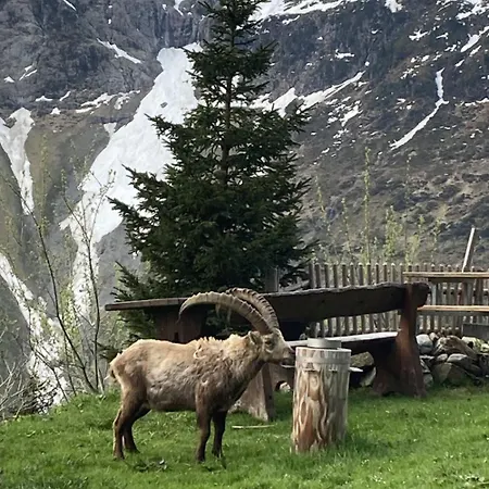 Berggasthaus Tschingelhorn * Stechelberg