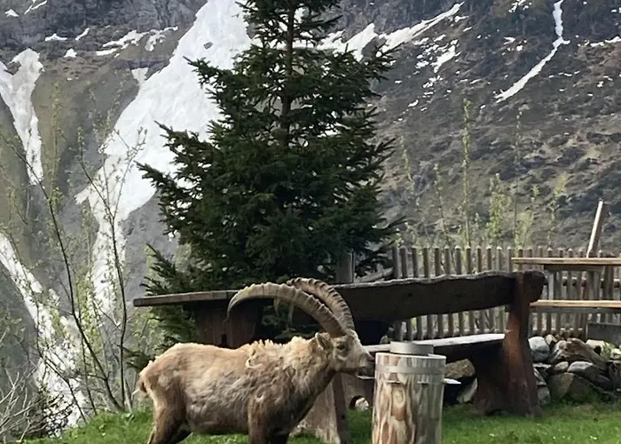 Berggasthaus Tschingelhorn * Stechelberg